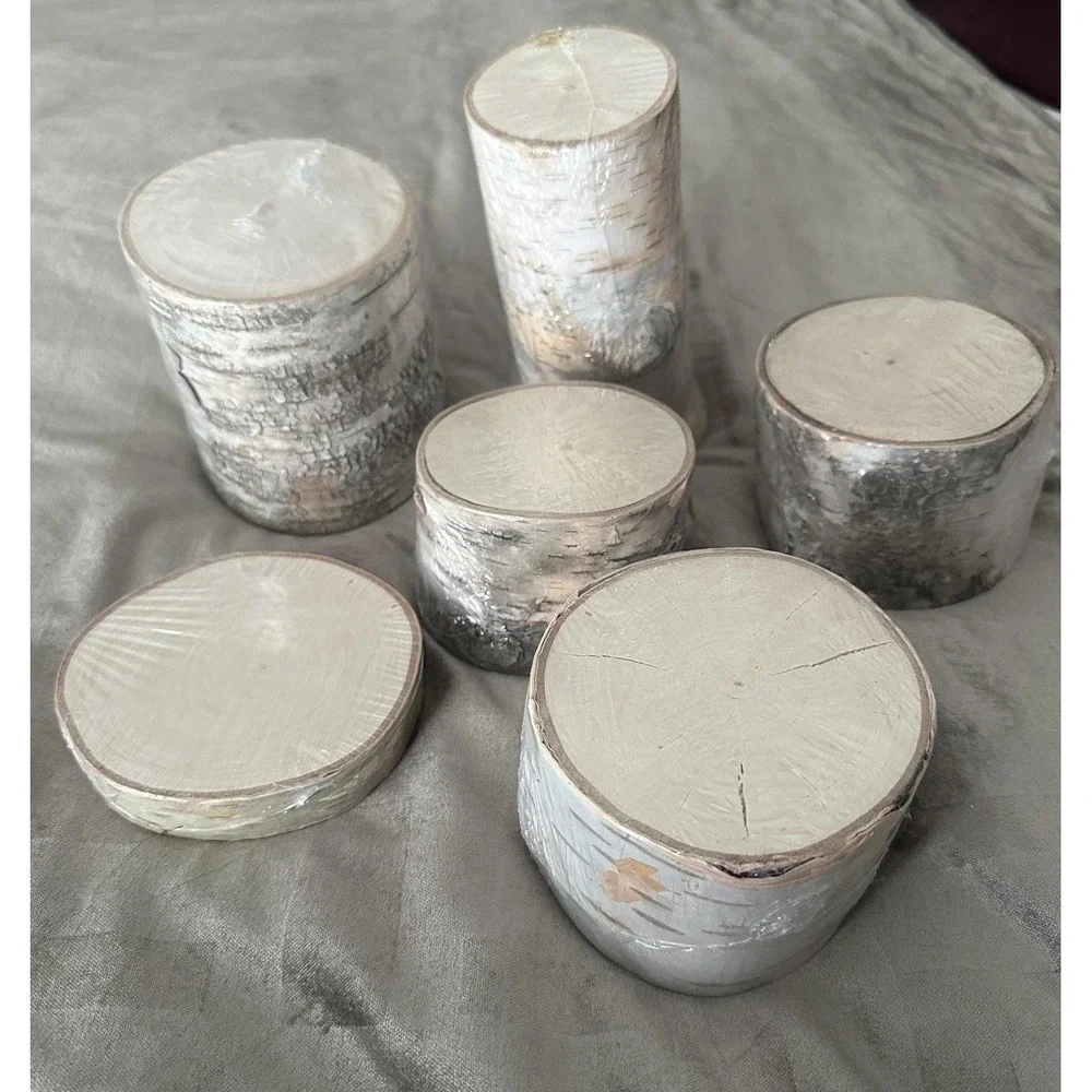 ArtMinds Birch Wood Rounds Slice Natural Unfinished Craft Decor Lot Of 6 USA - Picture 1 of 16